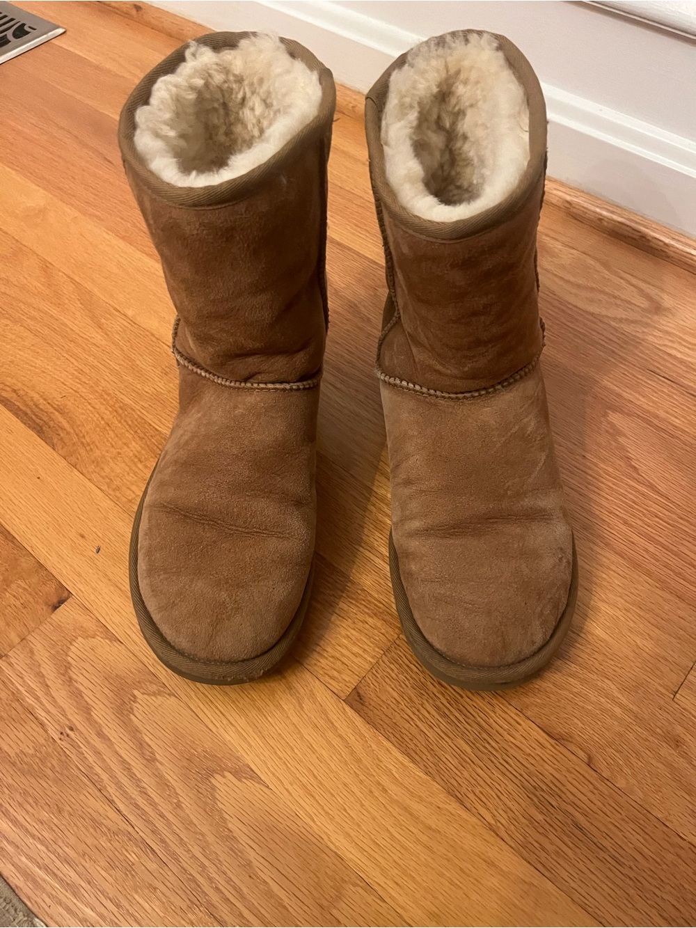 UGG Women's Chestnut Suede Shearling Boots